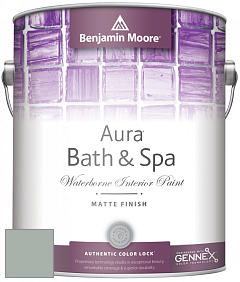 Benjamin Moore Aura 532 Bath & Spa Waterborne Interior Paint Matte Finish краска цвет 1572 Raindance