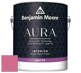 Benjamin Moore Aura 522 Interior Paint - Matte краска цвет NCS S 1060-R20B 