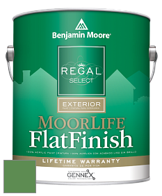Benjamin Moore W105 Regal Select Exterior Paint-MoorLife Flat Finish краска цвет 2034-30 Grassy Fields