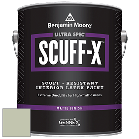 Benjamin Moore 484 Ultra Spec SCUFF-X Interior Matte Finish краска цвет NCS S 2010-G50Y 