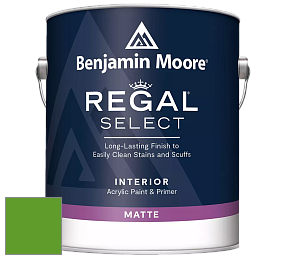 Benjamin Moore 548 IRegal Select Interior Paint - Matte краска цвет 2030-10 Lizard Green