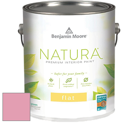 Benjamin Moore 512 Natura Interior Flat Finish матовая краска цвет NCS S 1040-R20B 