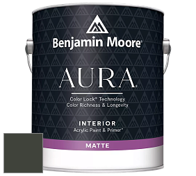 Benjamin Moore Aura 522 Interior Paint - Matte краска цвет RAL 6006 