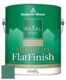 Benjamin Moore W105 Regal Select Exterior Paint-MoorLife Flat Finish краска цвет 650 Highlands Green