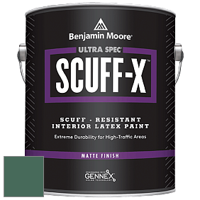 Benjamin Moore 484 Ultra Spec SCUFF-X Interior Matte Finish краска цвет 2041-20 Fiddlehead Green