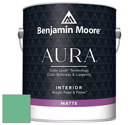 Benjamin Moore Aura 522 Interior Paint - Matte краска цвет 580 Arlington Green