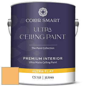 COLOR SMART CS 758 ULTRA CEILING PAINT ультраматовая краска цвет 2017-40 Sweet Orange