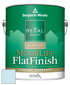 Benjamin Moore W105 Regal Select Exterior Paint-MoorLife Flat Finish краска цвет 2064-70 Billowy Down