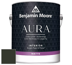 Benjamin Moore Aura 522 Interior Paint - Matte краска цвет RAL 6008 