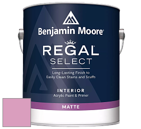 Benjamin Moore 548 IRegal Select Interior Paint - Matte краска цвет NCS S 1040-R30B 