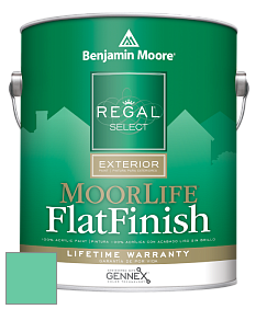 Benjamin Moore W105 Regal Select Exterior Paint-MoorLife Flat Finish краска цвет 2039-40 Teal Blast