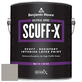 Benjamin Moore 484 Ultra Spec SCUFF-X Interior Matte Finish краска цвет NCS S 3502-Y50R 