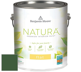 Benjamin Moore 512 Natura Interior Flat Finish матовая краска цвет NCS S 5540-G20Y 