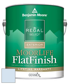 Benjamin Moore W105 Regal Select Exterior Paint-MoorLife Flat Finish краска цвет 2067-70 White Satin