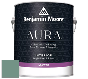Benjamin Moore Aura 522 Interior Paint - Matte краска цвет NCS S 4020-B90G 