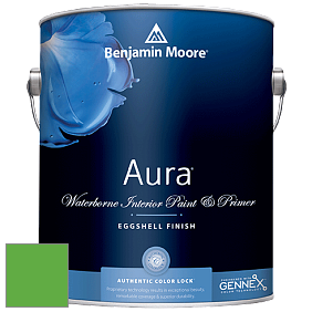 Benjamin Moore Aura 524 Waterborne Interior Eggshell Finish краска цвет NCS S 1075-G20Y 