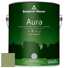 Benjamin Moore Aura 629 Waterborne Exterior Flat Finish краска цвет 545 Buckingham Gardens