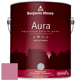 Benjamin Moore Aura 631 Waterborne Exterior Satin Finish краска цвет 2084-40 Precious Pink