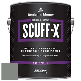 Benjamin Moore 484 Ultra Spec SCUFF-X Interior Matte Finish краска цвет 1580 Intrigue