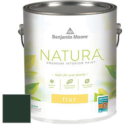 Benjamin Moore 512 Natura Interior Flat Finish матовая краска цвет RAL 6009 