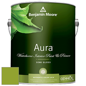 Benjamin Moore Aura 528 Waterborne Interior Semi-gloss Finish краска цвет 2028-20 Douglas Fir