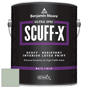 Benjamin Moore 484 Ultra Spec SCUFF-X Interior Matte Finish краска цвет NCS S 2010-G20Y 