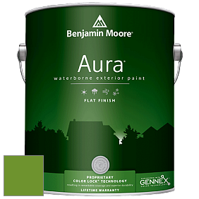Benjamin Moore Aura 629 Waterborne Exterior Flat Finish краска цвет 2029-10 Basil Green