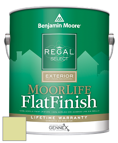 Benjamin Moore W105 Regal Select Exterior Paint-MoorLife Flat Finish краска цвет 2028-50 Wales Green