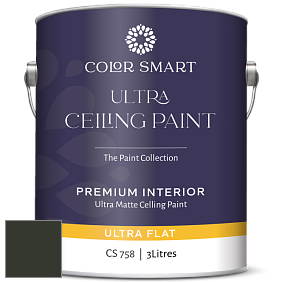 COLOR SMART CS 758 ULTRA CEILING PAINT ультраматовая краска цвет RAL 6008 