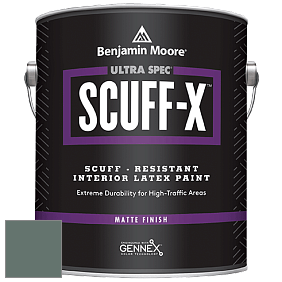 Benjamin Moore 484 Ultra Spec SCUFF-X Interior Matte Finish краска цвет NCS S 6010-B90G 