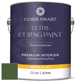 COLOR SMART CS 758 ULTRA CEILING PAINT ультраматовая краска цвет NCS S 5540-G30Y 