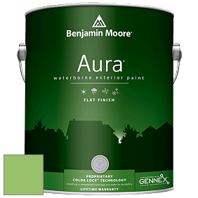 Benjamin Moore Aura 629 Waterborne Exterior Flat Finish краска цвет 558 Killala Green