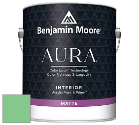 Benjamin Moore Aura 522 Interior Paint - Matte краска цвет NCS S 1050-G10Y 