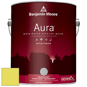Benjamin Moore Aura 631 Waterborne Exterior Satin Finish краска цвет 2025-40 Limelight