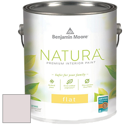 Benjamin Moore 512 Natura Interior Flat Finish матовая краска цвет NCS S 1005-R10B 