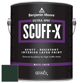 Benjamin Moore 484 Ultra Spec SCUFF-X Interior Matte Finish краска цвет RAL 6009 
