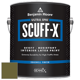 Benjamin Moore 485 Ultra Spec SCUFF-X Interior Eggshell Finish краска цвет NCS S 5540-G60Y 