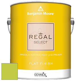 Benjamin Moore 547 Regal Select Waterborne Interior Flat Finish краска цвет NCS S 0565-G50Y 