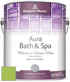 Benjamin Moore Aura 532 Bath & Spa Waterborne Interior Paint Matte Finish краска цвет 419 Malachy Green