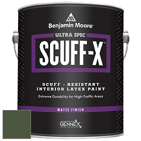 Benjamin Moore 484 Ultra Spec SCUFF-X Interior Matte Finish краска цвет RAL 6003 