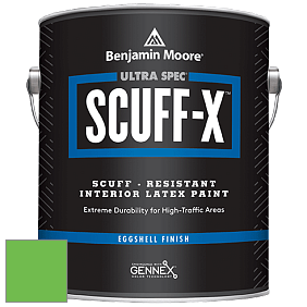 Benjamin Moore 485 Ultra Spec SCUFF-X Interior Eggshell Finish краска цвет NCS S 0575-G20Y 