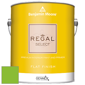 Benjamin Moore 547 Regal Select Waterborne Interior Flat Finish краска цвет NCS S 0580-G30Y 