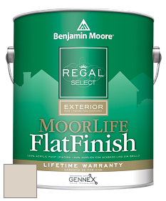 Benjamin Moore W105 Regal Select Exterior Paint-MoorLife Flat Finish краска цвет 972 Alaskan Skies