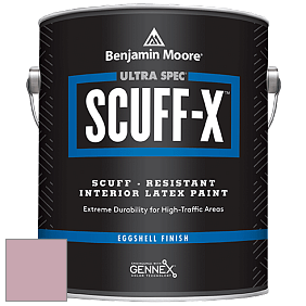 Benjamin Moore 485 Ultra Spec SCUFF-X Interior Eggshell Finish краска цвет NCS S 2020-R20B 