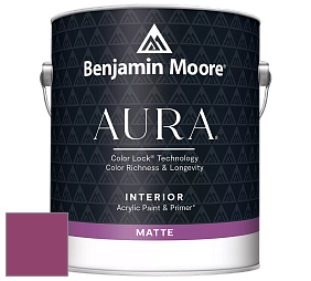Benjamin Moore Aura 522 Interior Paint - Matte краска цвет NCS S 3055-R30B 