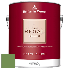 Benjamin Moore 550 Regal Select Waterborne Interior Pearl Finish краска цвет NCS S 3050-G30Y 