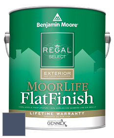 Benjamin Moore W105 Regal Select Exterior Paint-MoorLife Flat Finish краска цвет 826 Stunning