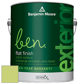 Benjamin Moore Ben 541 Waterborne Exterior Flat Finish краска цвет 417 Feel the Energy