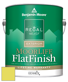Benjamin Moore W105 Regal Select Exterior Paint-MoorLife Flat Finish краска цвет 2025-40 Limelight