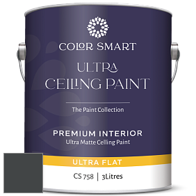 COLOR SMART CS 758 ULTRA CEILING PAINT ультраматовая краска цвет 2136-10 Black Knight